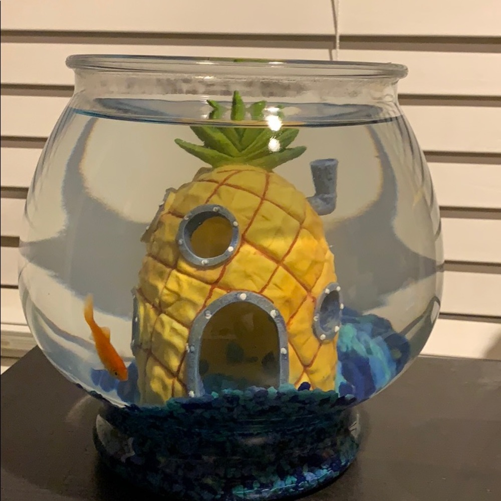 Meet your Posher, James